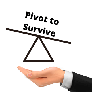 Pivot, Adapt, Survive &amp; Even Thrive - How to Pivot Your Business
