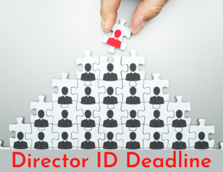 Government Locks in Director ID Deadline